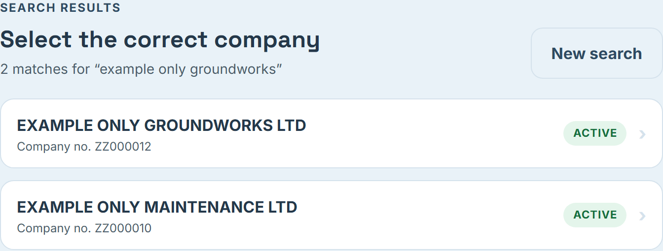 Screenshot: search results with EXAMPLE ONLY GROUNDWORKS LTD selected